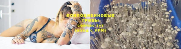 винт Медногорск
