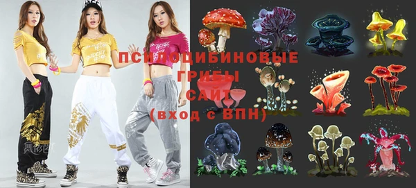а пвп мука Медвежьегорск