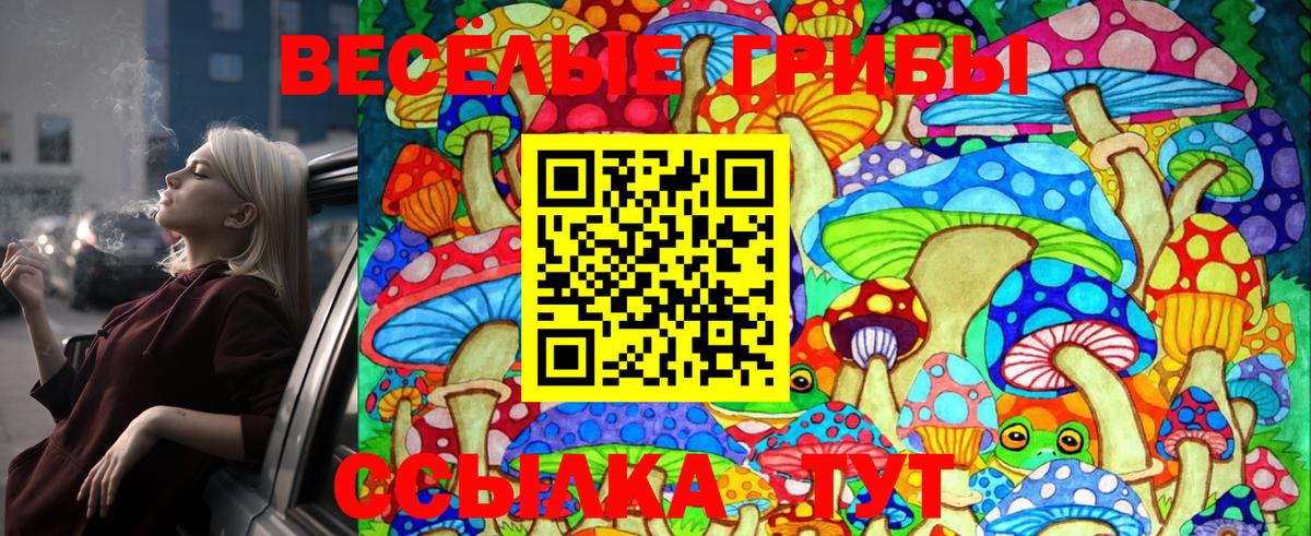 Псилоцибиновые грибы Cubensis Россия