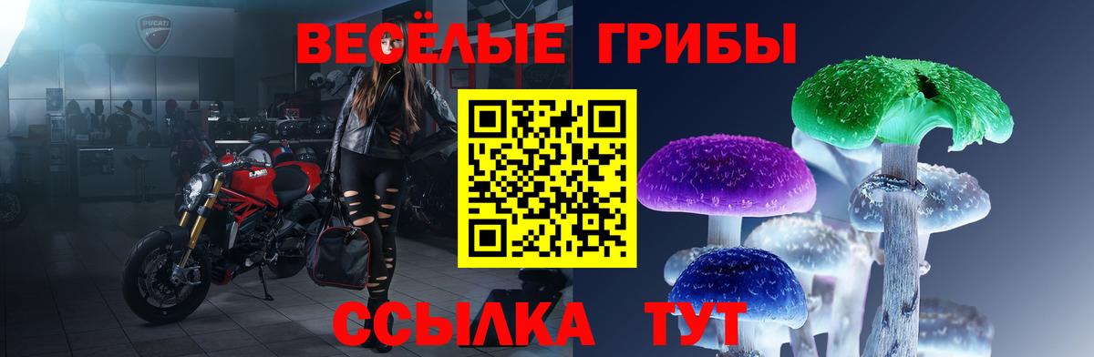 Россия  Галлюциногенные грибы Psilocybe  Вход с VPN 